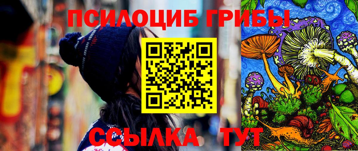 Псилоцибиновые грибы мицелий Унеча